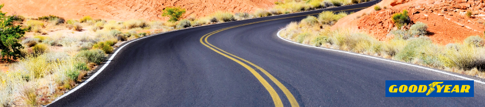 Goodyear dekk