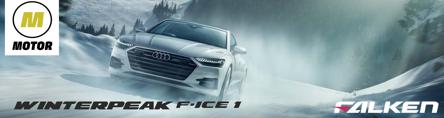 Falken%20Winterpeak%20Motor