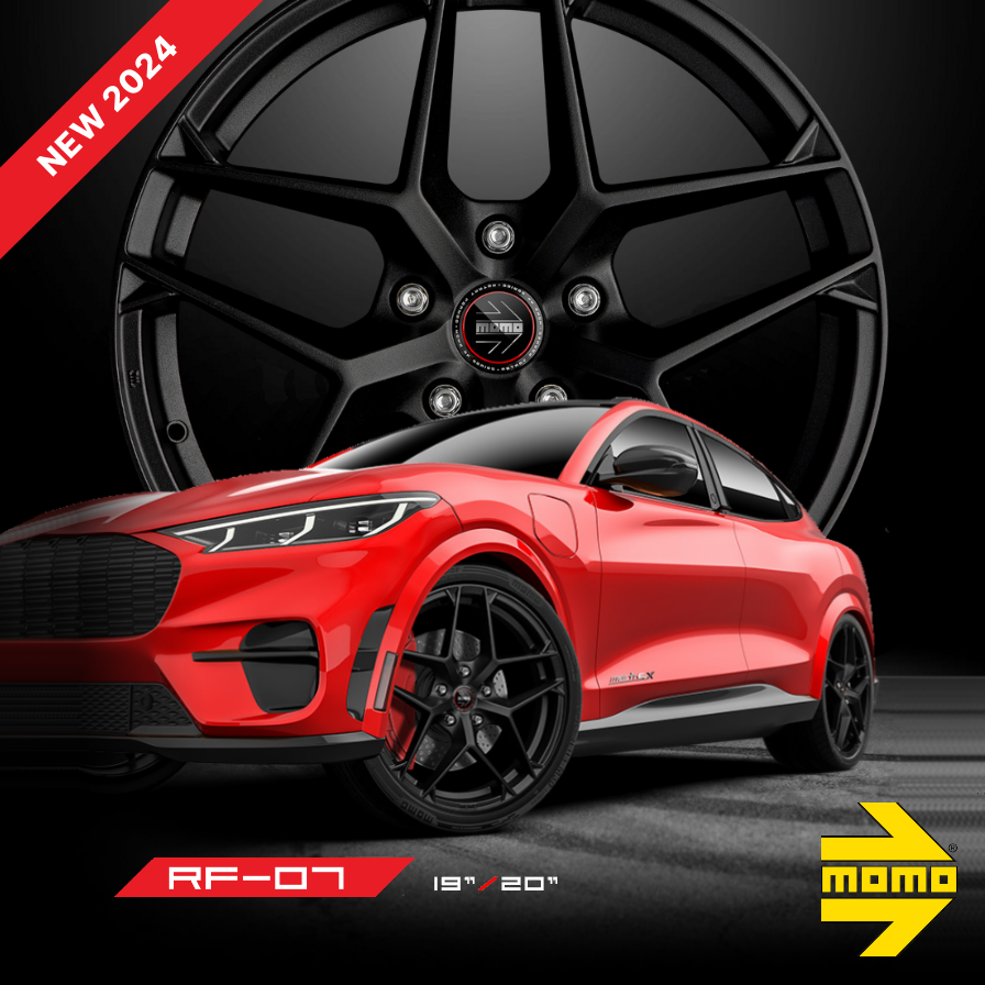 Momo felger Evoluzione