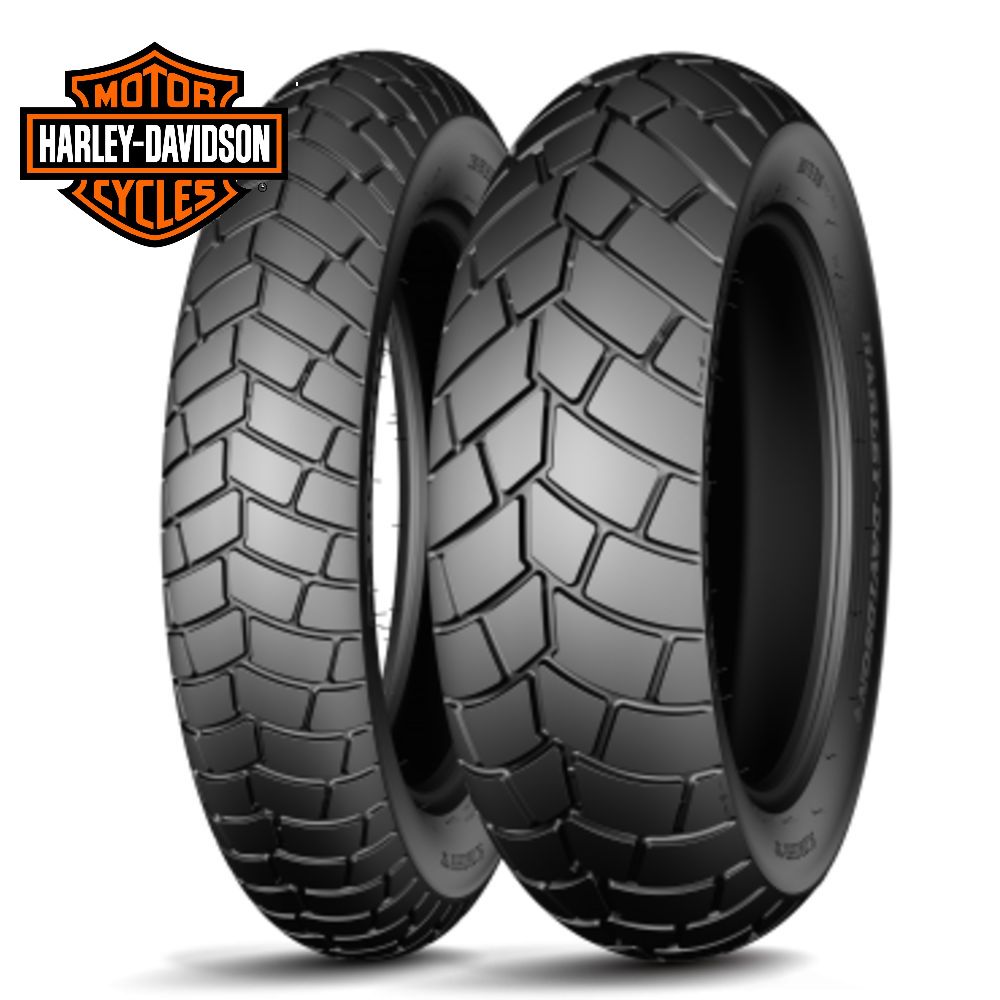 michelin-scorcher-harley