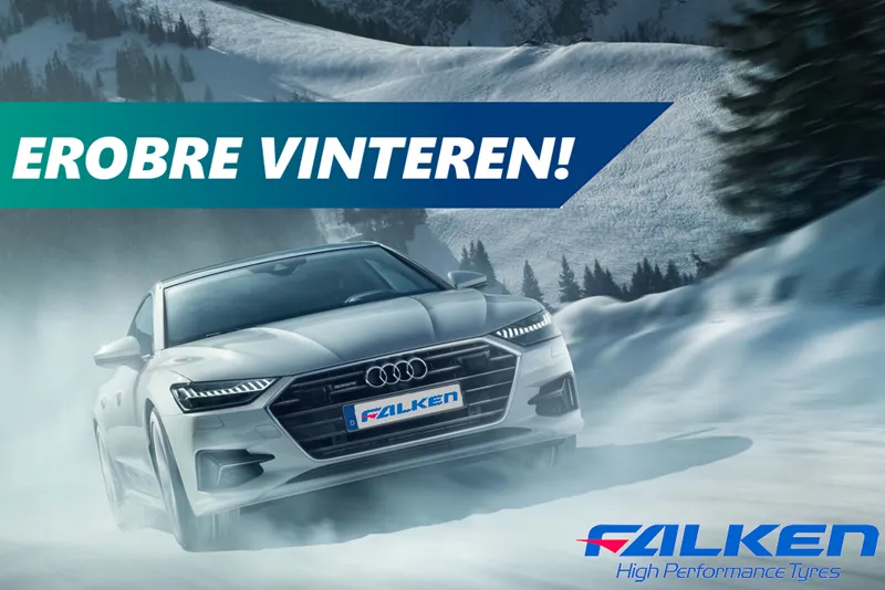 falken vinter